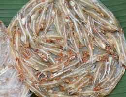 Bánh tráng cá cơm