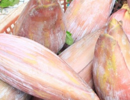 Bắp chuối hột