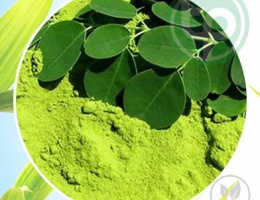 Bột chùm ngây