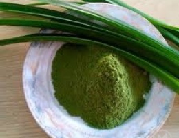 Bột lá dứa