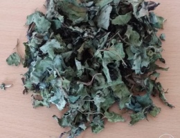 Diếp cá sấy khô