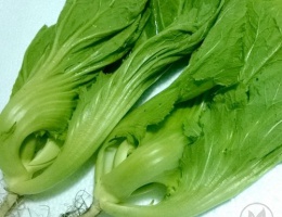 Hạt giống rau cải bẹ dưa