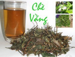 Chè vằng