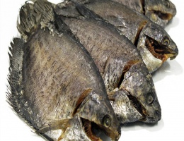 Khô cá sặc