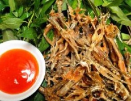 Nhái khô