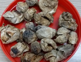 Nấm rơm sấy khô