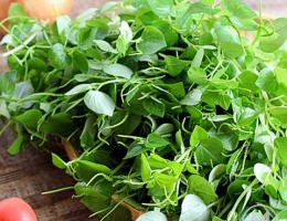 Hạt giống rau càng cua