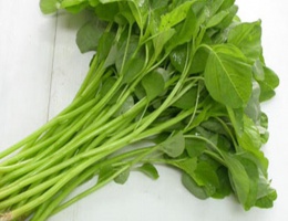 Hạt giống rau dền xanh