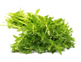 Rau ngổ sấy khô