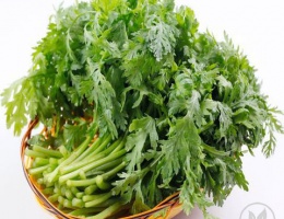 Hạt giống tần ô