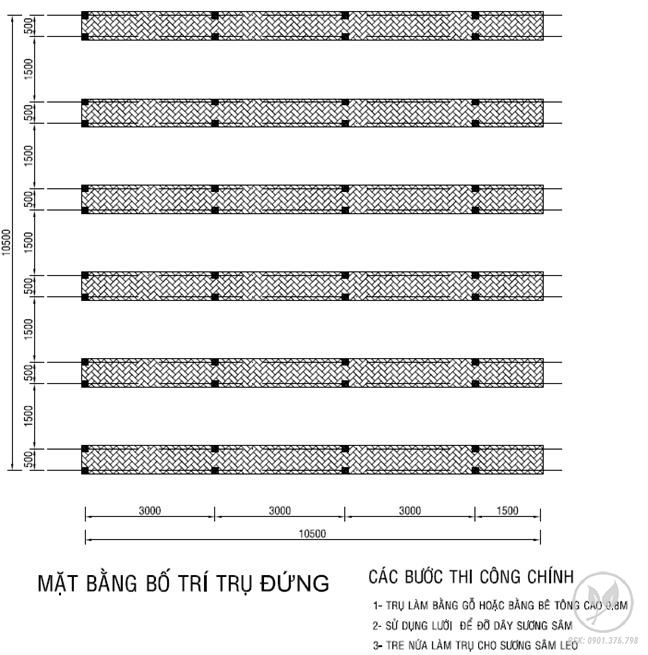 loi nhuan cay suong sam 1