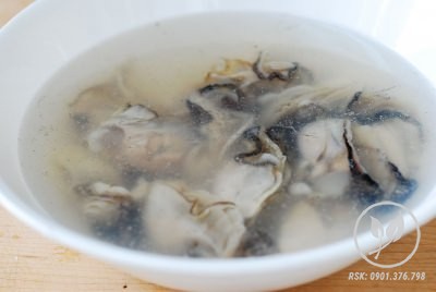 Hao tuoi 1