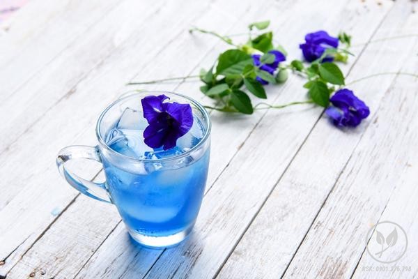 Hoa đậu biếc