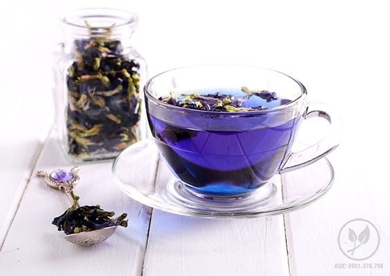 Hoa đậu biếc