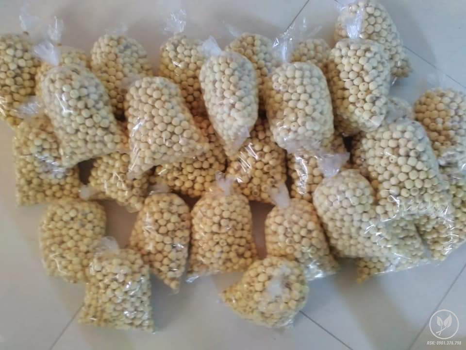Bán hạt sen tại Đà Nẵng Bán Hạt sen tươi tại Đà Nẵng