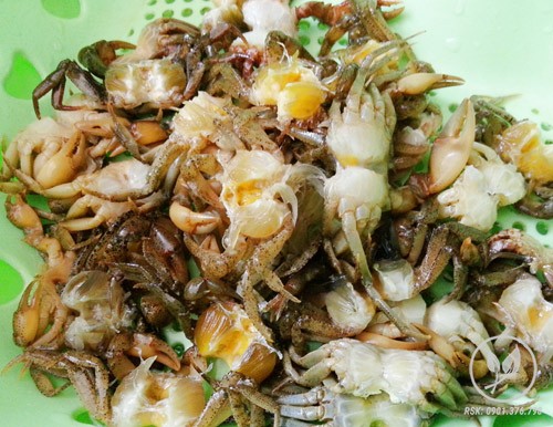 canh cua mong toi 1