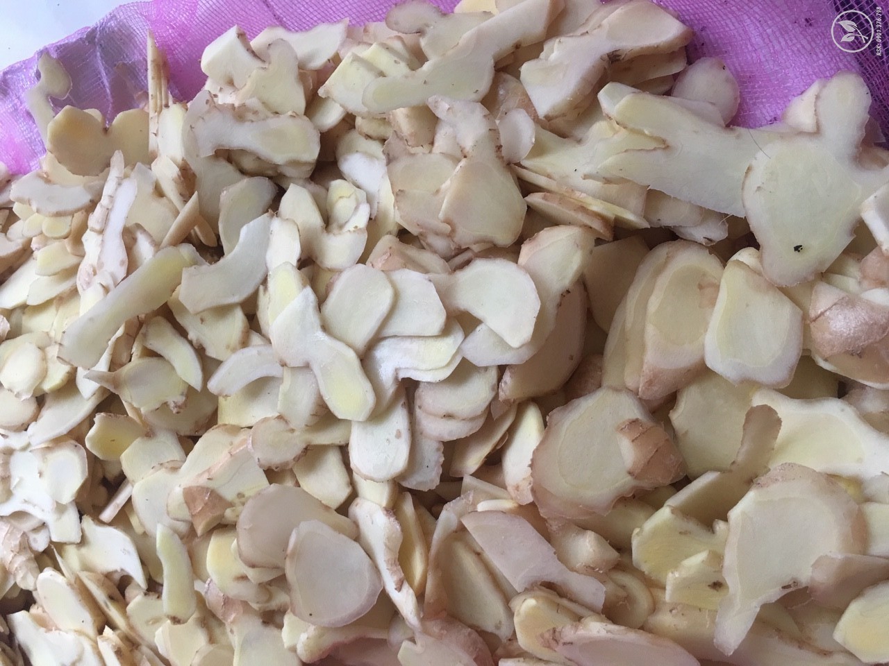 Cu gung thai