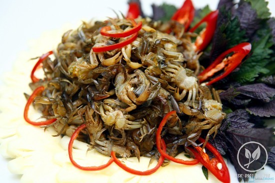 cua dong Nguyen Quang 1