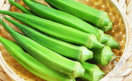 daubap nutifood
