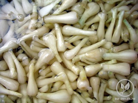 dua muoi cu kieu 2