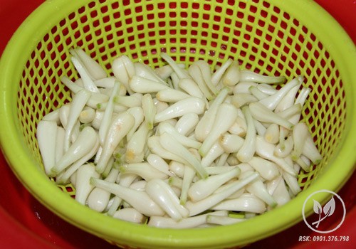 dua muoi cu kieu