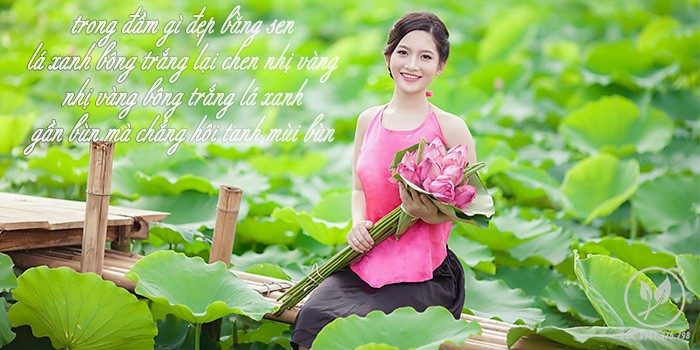 hat sen kho 1