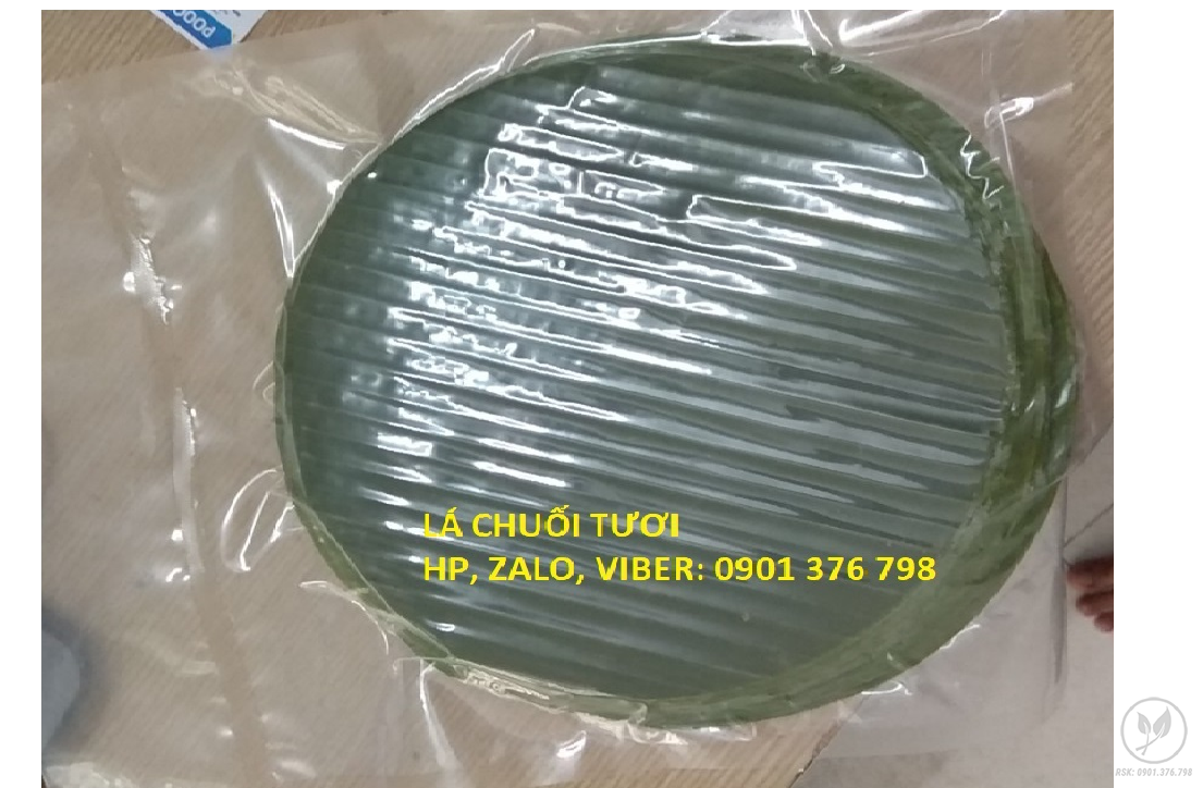Lá chuối tươi