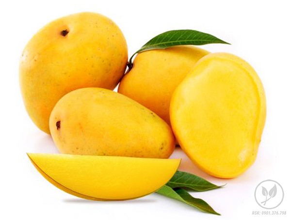 xoai say deo dacsancaocap com